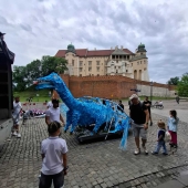 Niepubliczna Szkoła Podstawowa Niebieska 21
